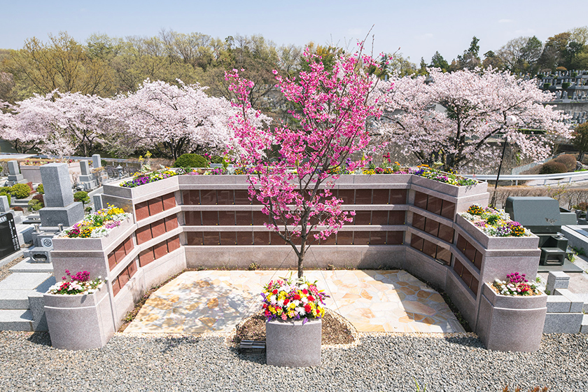 お寺だから選ばれている「證大寺」の樹木葬