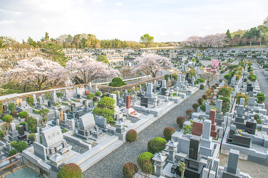 桜の季節の證大寺（船橋）