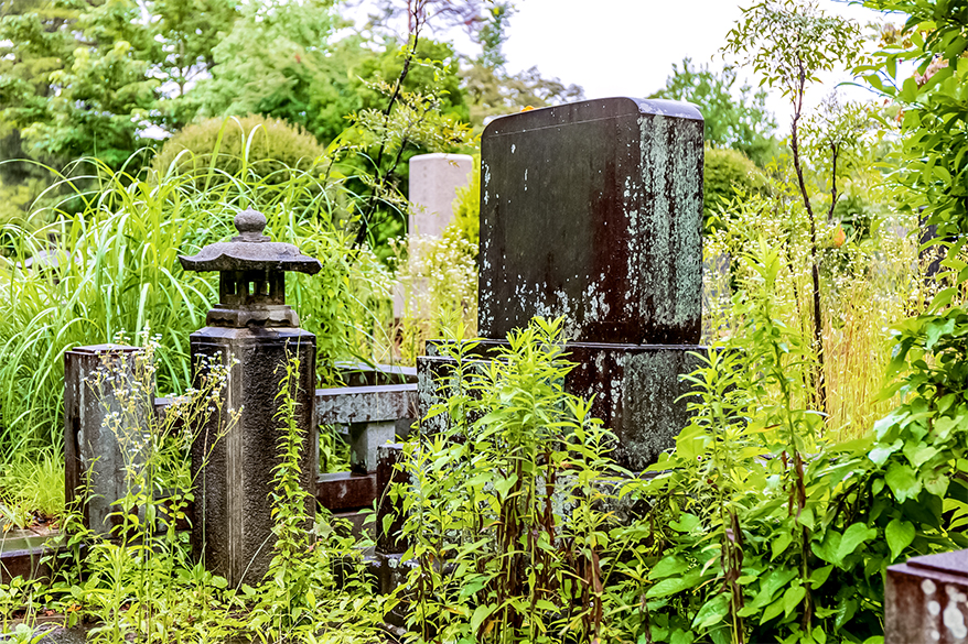 費用を誰も払わない…墓じまいせず放置するとどうなる?